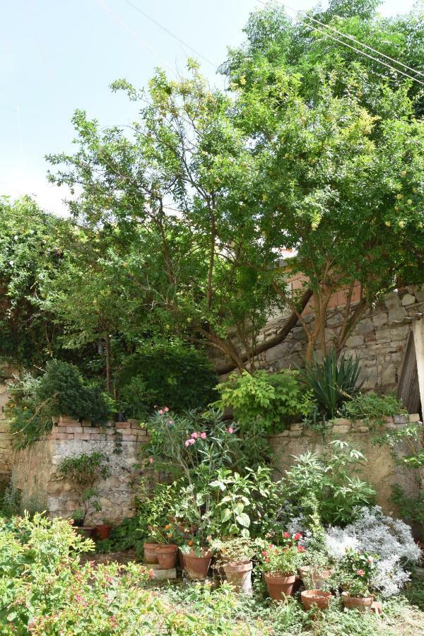 Studio Apartment Lumen Pula Exterior photo